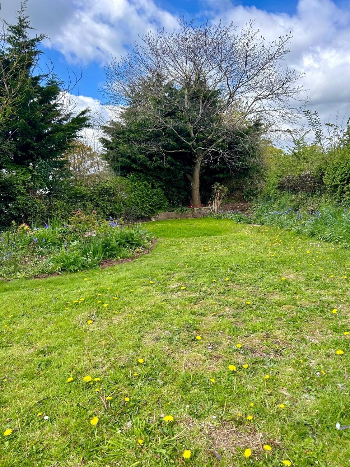 Sundial Cottage Newton Abbot Exterior foto